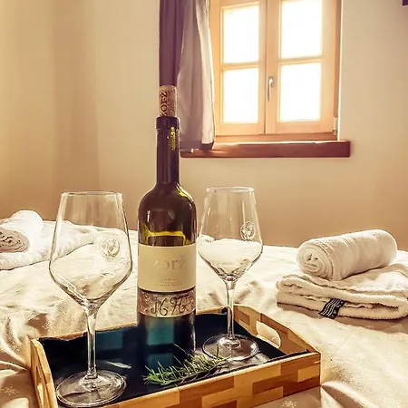 Boutique Rooms & Winery Zorz Vipava Exterior photo